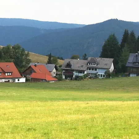 Waldblick * Todtnau